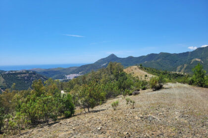 c1f4668d026ec3aa7171fd15e84c8334 - 8