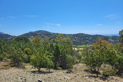 c1f4668d026ec3aa7171fd15e84c8334 - 9