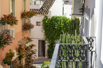 c47a43d1ced383eea74f12b95488dff1 - 19