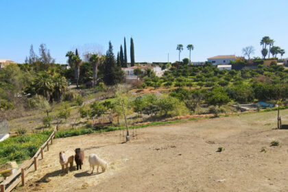 c5bf6e539f22556fc039b801b4ad2bd5 - 60