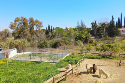 c5bf6e539f22556fc039b801b4ad2bd5 - 61