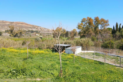 c5bf6e539f22556fc039b801b4ad2bd5 - 63