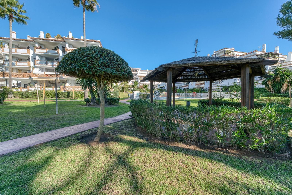 c5f3e013f0be0e0c6e90941a8a695eb4 - 31