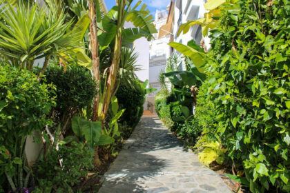 c6adfab007397d21535efcf37229ddc3 - 29