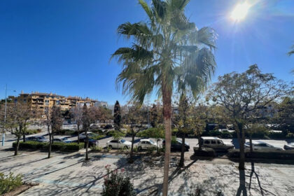 c799701ab59eca3fe091c940278c9d5d - 13