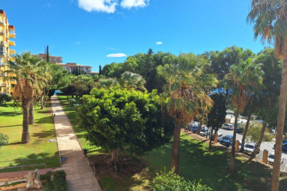 c839b80041af8c87b5bea85e290e00c5 - 1