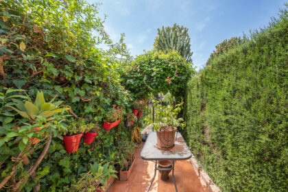 c8736a99dba4faa4087278d7589a0154 - 5