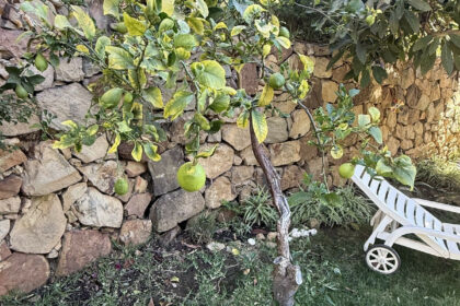 c92fce87d7dd8d49f82d9bc97d51358d - 16