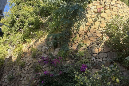 c92fce87d7dd8d49f82d9bc97d51358d - 17