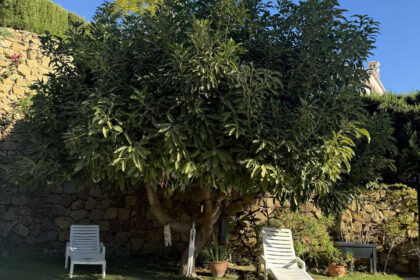 c92fce87d7dd8d49f82d9bc97d51358d - 3