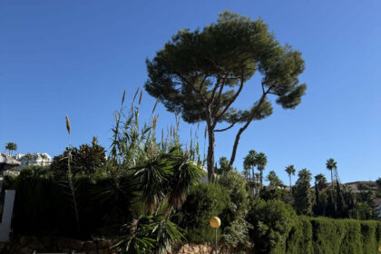 c92fce87d7dd8d49f82d9bc97d51358d - 73