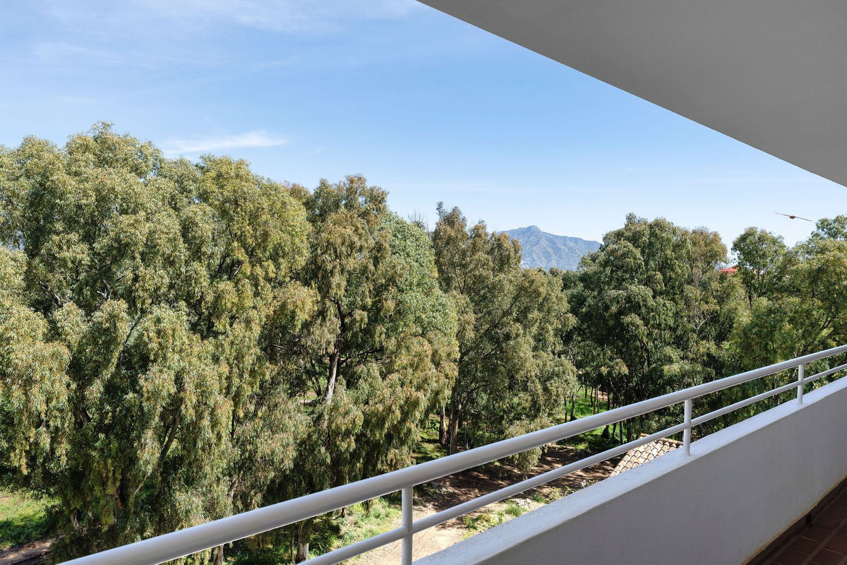 c9730d9a70a374e5abf1e44dc2b2ad82 - 16