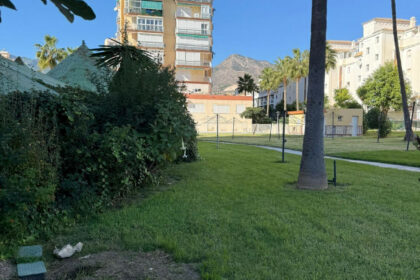 ca541c683de7beab82b72e9c99faf5eb - 3