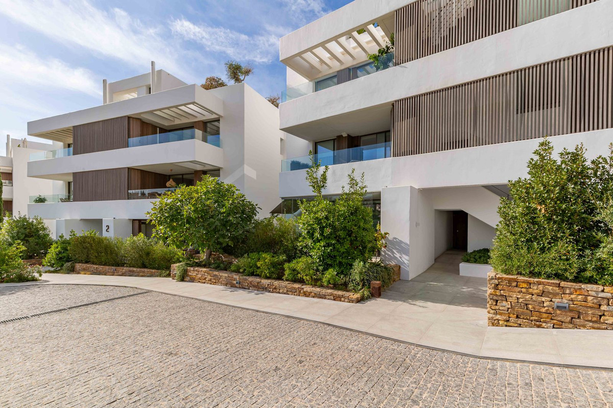 caff26847a82a8fd4fa849f96bae85bc - 12