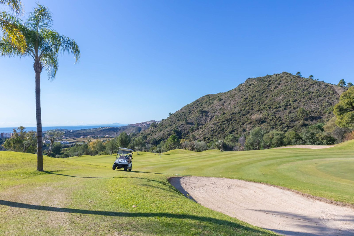 caff26847a82a8fd4fa849f96bae85bc - 24