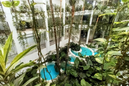 cc4ea0daf114cbb2f4ccbb91b988aa9a - 17