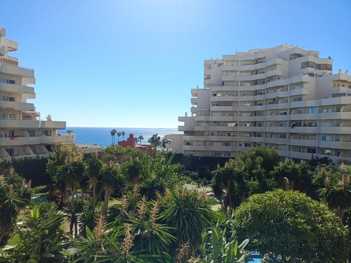 cc4ea0daf114cbb2f4ccbb91b988aa9a - 29