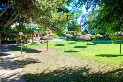 cc4ea0daf114cbb2f4ccbb91b988aa9a - 43