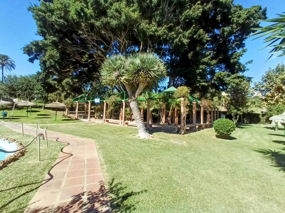 cc4ea0daf114cbb2f4ccbb91b988aa9a - 50