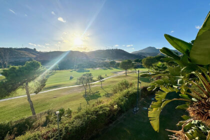 cd36c9c626f4ac28857b11ce70ecd265 - 29