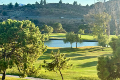 cd36c9c626f4ac28857b11ce70ecd265 - 38