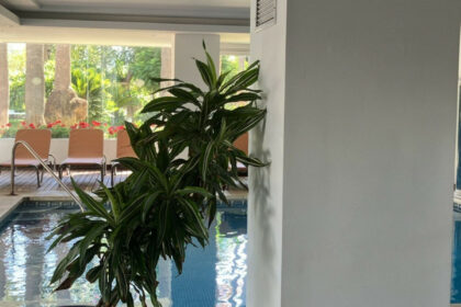 cdeeead31dc8f8efe9b652bf3a8d19af - 12