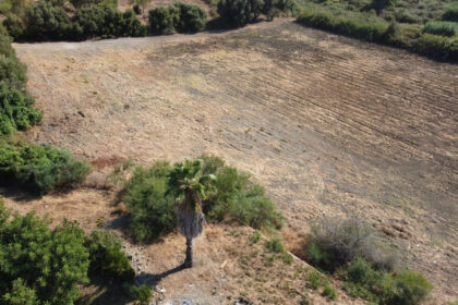 cee42c09b858dc7c7c034373513bec00 - 18