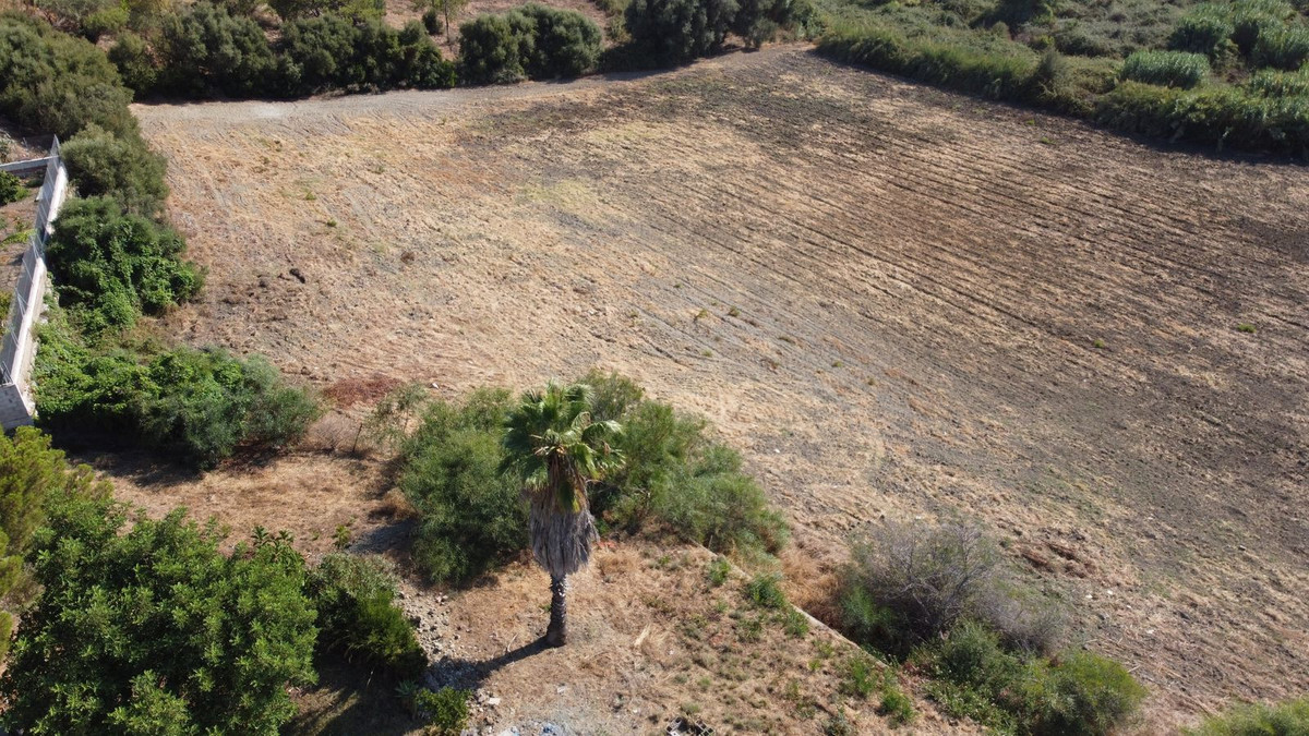 cee42c09b858dc7c7c034373513bec00 - 18