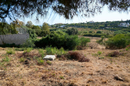 cee42c09b858dc7c7c034373513bec00 - 6