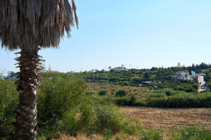 cee42c09b858dc7c7c034373513bec00 - 8