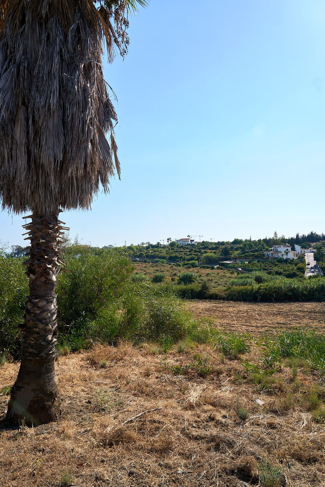 cee42c09b858dc7c7c034373513bec00 - 8