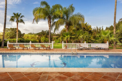 d19821537768838c6d400e2d35fc41bd - 17