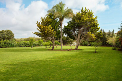 d19821537768838c6d400e2d35fc41bd - 22