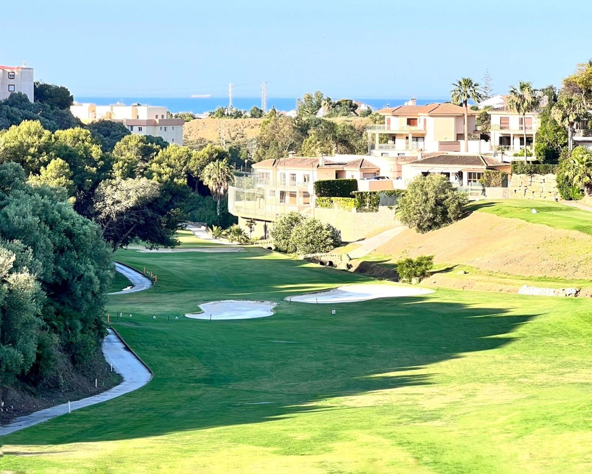 d2659af72f03462e58a9802f673eb1f7 - 1