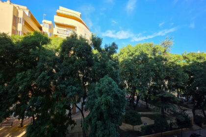 d2a3b0564f2bd5caf813587582a44a37 - 21