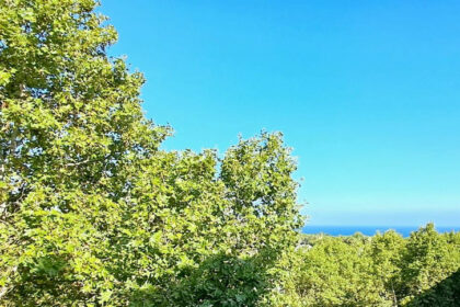 d401ec19fa0d91cb7d12526fd8f7be0f - 18