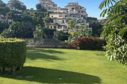 d55659778f1e25878afb07171a937b77 - 1