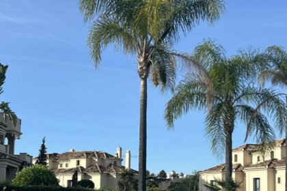 d55659778f1e25878afb07171a937b77 - 12