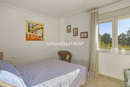 d5b5bf636f457957c4e56ca0dae65c07 - 13