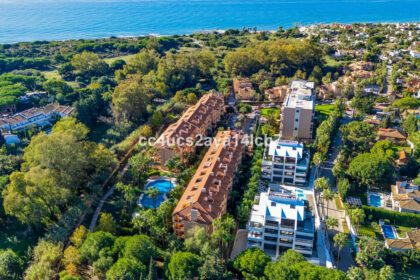 d5b5bf636f457957c4e56ca0dae65c07 - 24