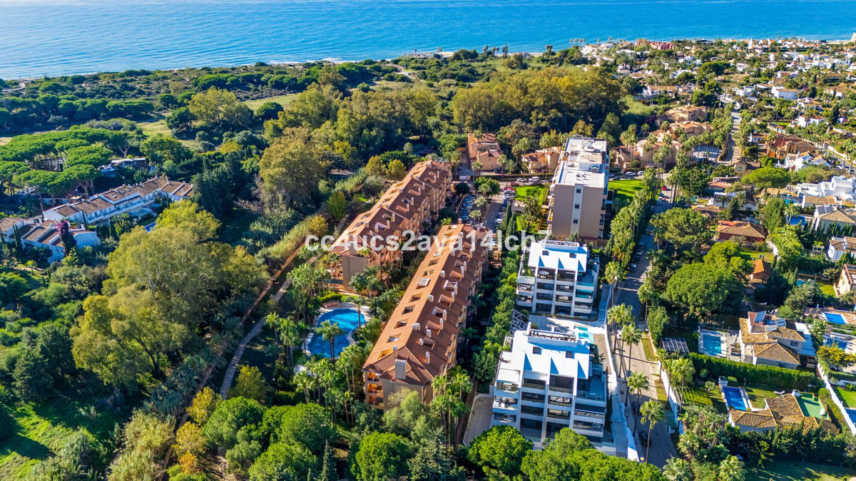 d5b5bf636f457957c4e56ca0dae65c07 - 24