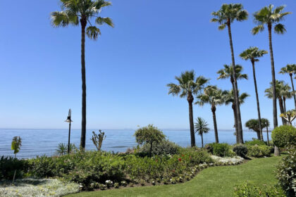 d6bcecaa335bad8823716a144d51726f - 32