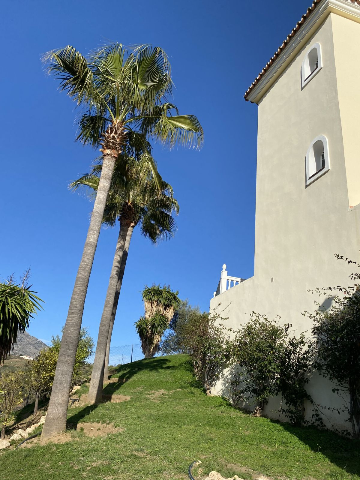 d710ac66866c0aa18153f040c8149cd3 - 56