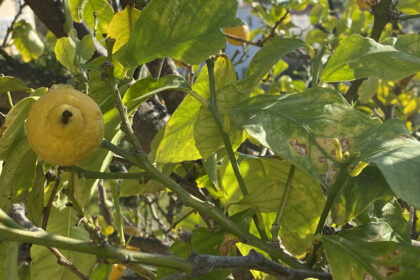 d710ac66866c0aa18153f040c8149cd3 - 57