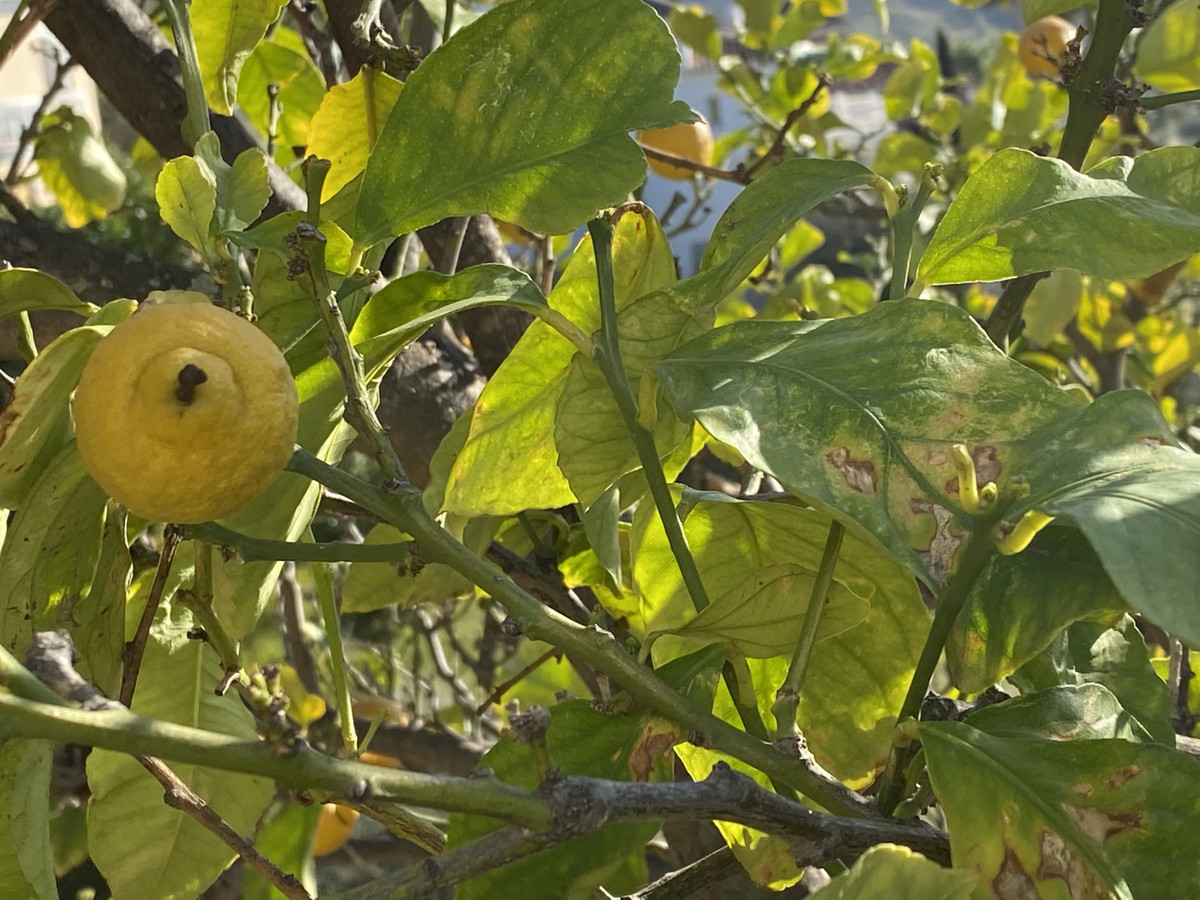 d710ac66866c0aa18153f040c8149cd3 - 57