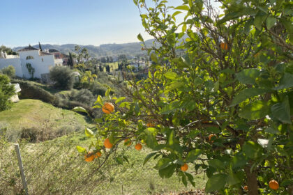 d710ac66866c0aa18153f040c8149cd3 - 58