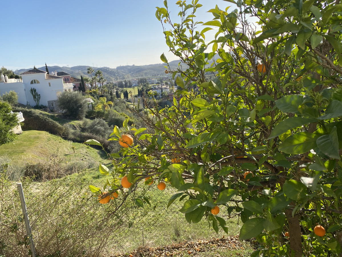 d710ac66866c0aa18153f040c8149cd3 - 58