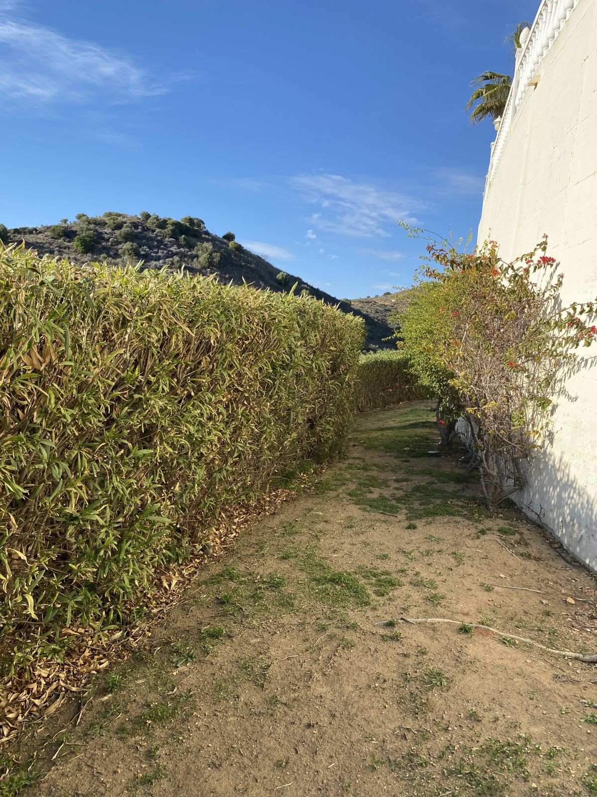 d710ac66866c0aa18153f040c8149cd3 - 62