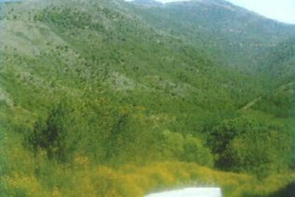 d75707da04069dc862446ea5ec89db29 - 4