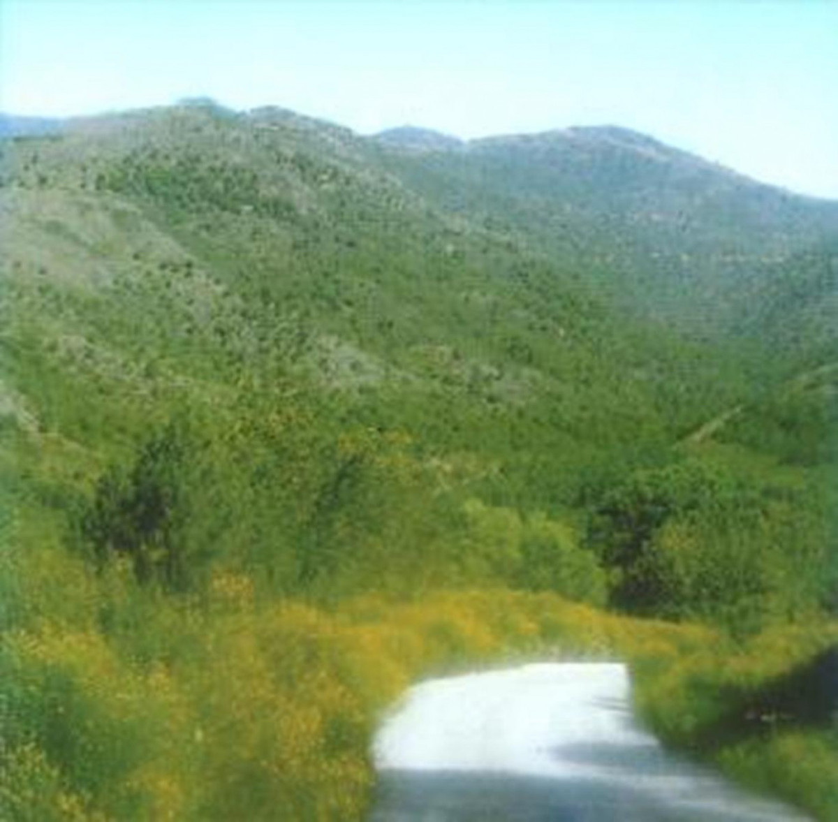 d75707da04069dc862446ea5ec89db29 - 4